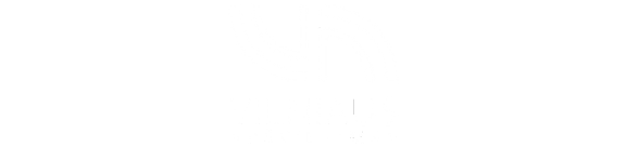 Vilniaus apšvietimo logotipas